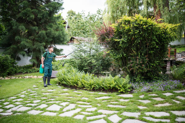Best Best Pest Control Companies  in Firebaugh, CA