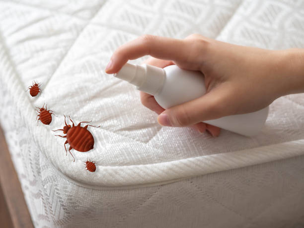 Best Pest Control Near Me  in Firebaugh, CA