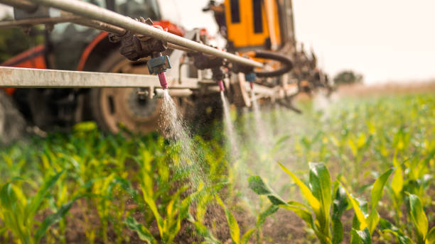 Trusted Firebaugh, CA Pest Control Experts